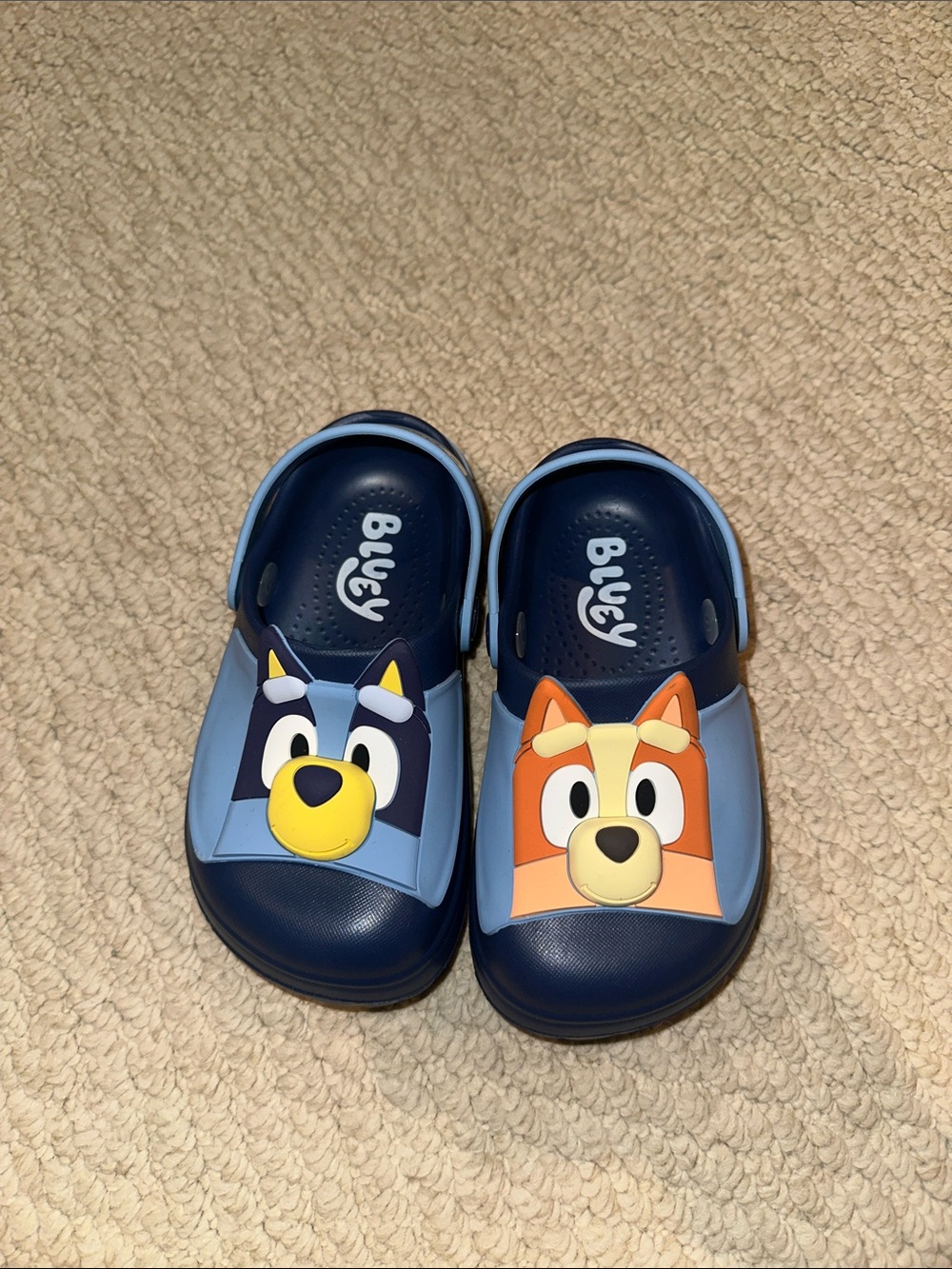 Bluey Character Clog Sandals - Blue and Light Blue